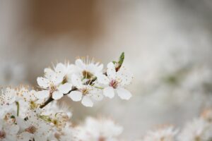 中学受験の春休みに家庭で実践する勉強計画は？
