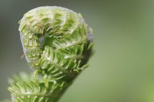 塾併用で学習効果を高める方法は？