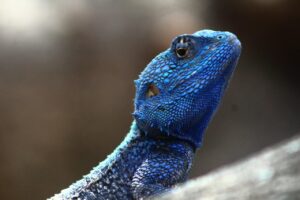 中学受験に塾が向かない子どもはどんな特徴があるの？