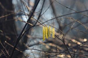 中学受験直前の2月にやるべきことは何する？